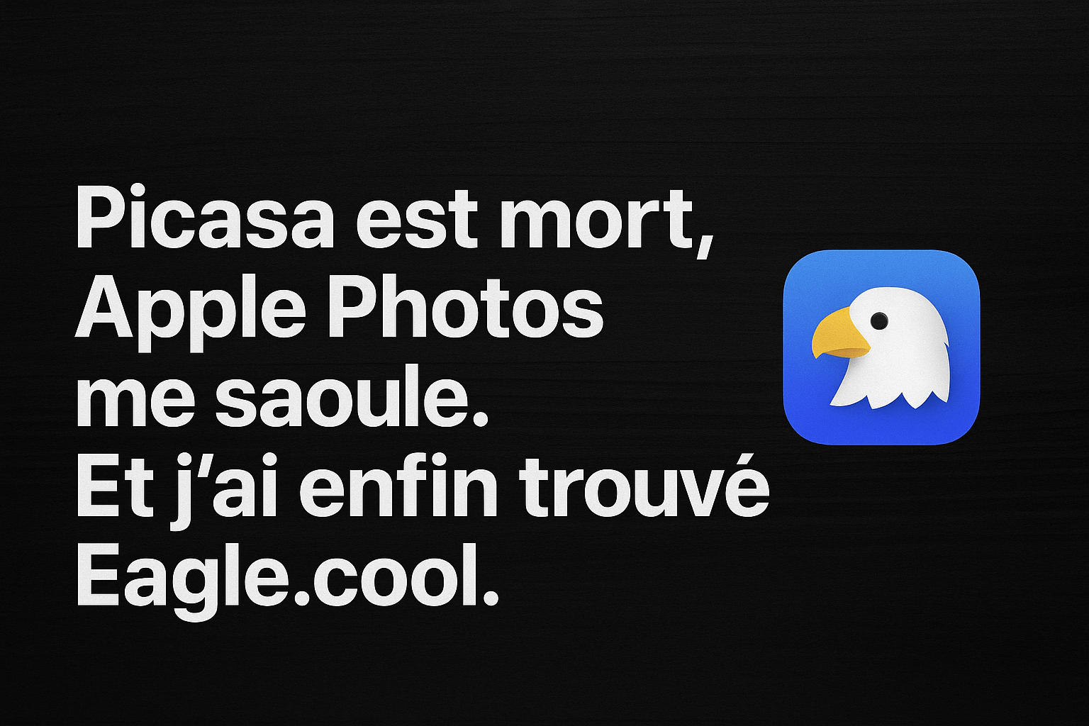 Illustration de l’article de blog sur Eagle.cool, alternative moderne à Picasa et Apple Photos, avec la phrase “Picasa est mort, Apple Photos me saoule. Et j’ai enfin trouvé Eagle.cool.”